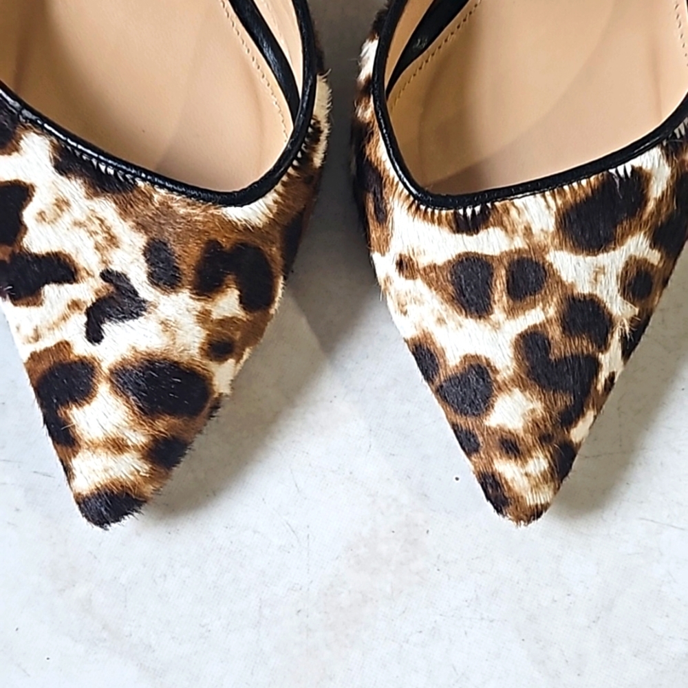 Brand: J. crew, Size: 6, Color: leopard 🐆